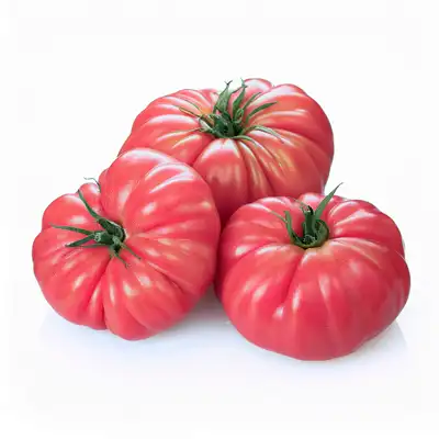Bulgarian pink tomatoes