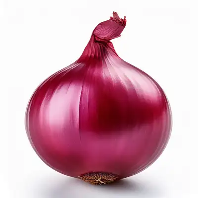 cipolla