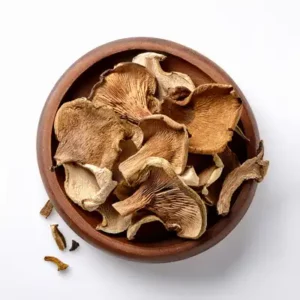 Funghi secchi