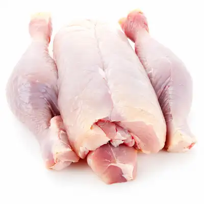 pollo